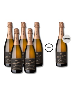 5 plus1 Schwarzriesling Rosé Sekt trocken