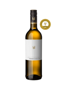 2024 Mundelsheimer Sauvignon Cita trocken