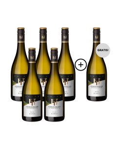 Käsbergkeller Secco Bianco 5 + 1