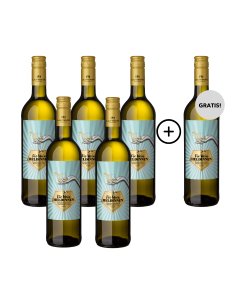 Die Weinheldinnen Grauburgunder mit Weissburgunder QbA trocken 5 + 1