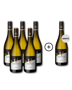 5 plus 1 Secco Bianco Mundelsheim