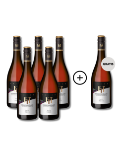 5 plus 1 Secco Rosé Mundelsheim