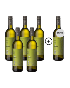 5+1 Lauffener Bio Riesling QbA trocken 0,75l