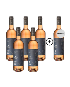 5+1 Lauffener Bio Schillerwein QbA trocken 0,75l