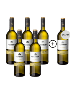 5+1 Lauffener Souvignier Gris QbA trocken 0,75l